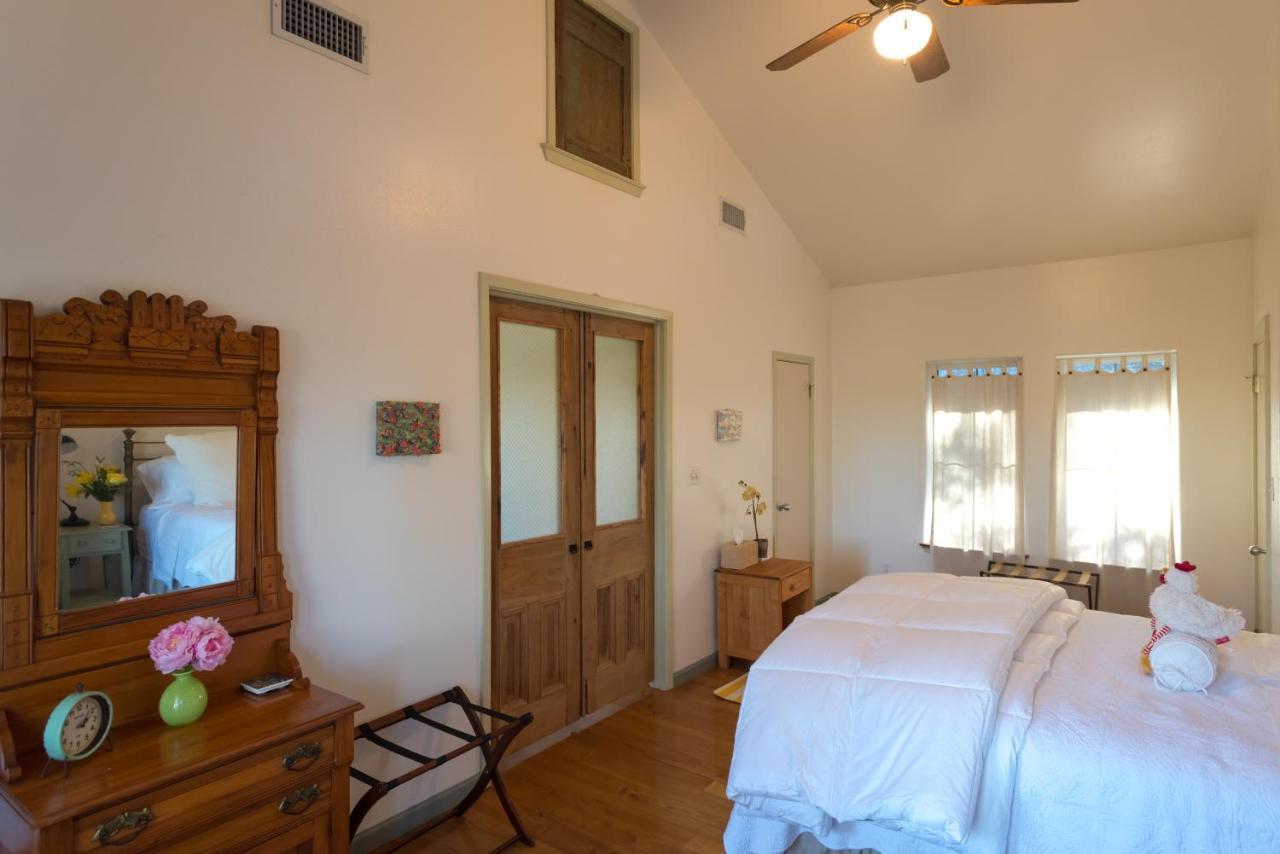 The Rivery Retreat, Choose From Luxury Guesthouse Cabin Or Suite In Lake Austin Hill Country Exterior photo